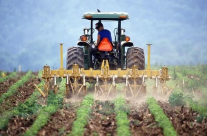 Asigurări în agricultură, din fonduri europene