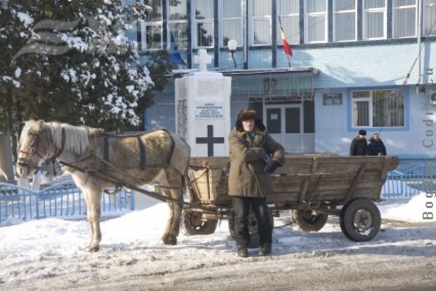 Proiecte în pericol?