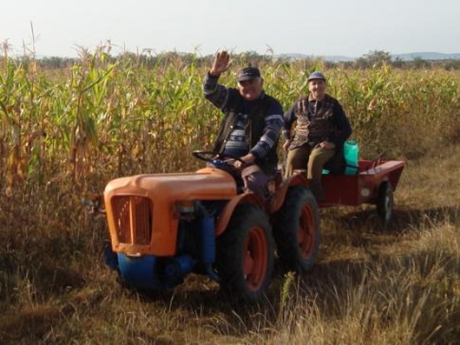 Măsuri de sprijin pentru agricultori în valoare de 200 milioane de euro