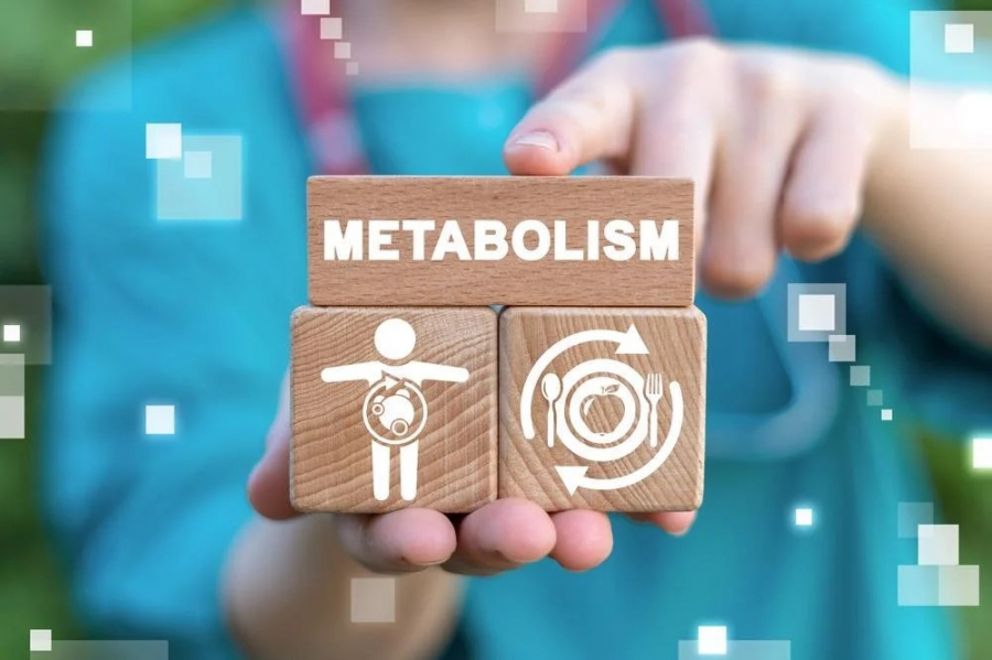 Accelerarea metabolismului în timpul curelor de slăbire