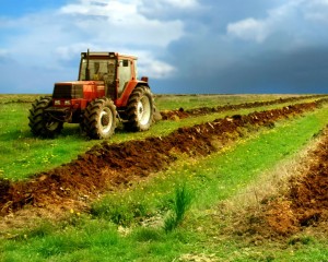 Venitul agricol real din România a avut cea mai abruptă scădere din UE în acest an