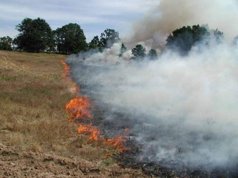 Sancţiuni de zeci de mii de lei pentru incendierea vegetației