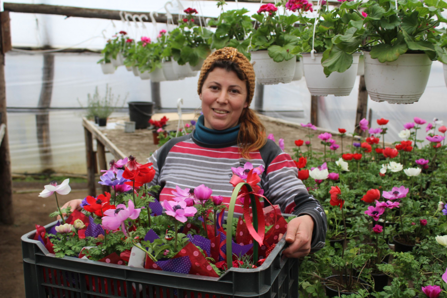 Doamna florilor de la Valea Mărului