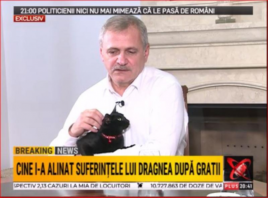 Liviu Dragnea ne-a arătat pisic(uţ)a