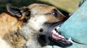 Încă o victimă a MAIDANEZILOR/ Gălăţeanul a avut nevoie de două OPERAŢII