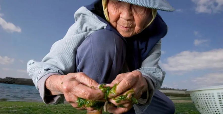 Okinawa, locul unde centenarii lucrează grădina în fiecare zi. Secretele longevităţii în „zonele albastre” ale Terrei