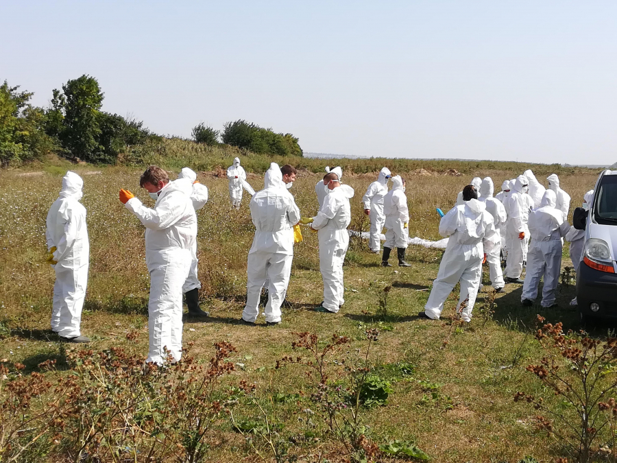 Un nou focar de pestă în judeţul Galaţi