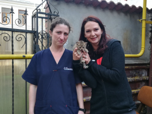 Pisoi, captiv la doi metri adâncime. Intervenţie salvatoare a Asociaţiei ”Help Lăbuş” (FOTO)
