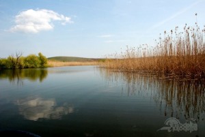 Campanie VL &quot;Eu vara nu dorm&quot;/ Concediu la soare, fără aglomeraţie: Un popas în drum spre Delta Dunării