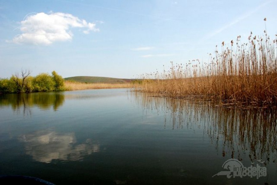 Campanie VL "Eu vara nu dorm"/ Concediu la soare, fără aglomeraţie: Un popas în drum spre Delta Dunării