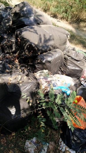 UPDATE. Sacii cu gunoi abandonaţi în zona Zătun au fost ridicaţi
