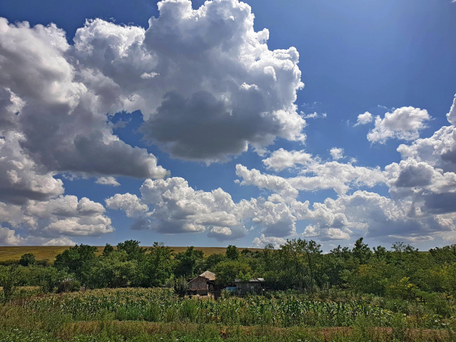 Lupele moare pentru a doua oară (FOTO)