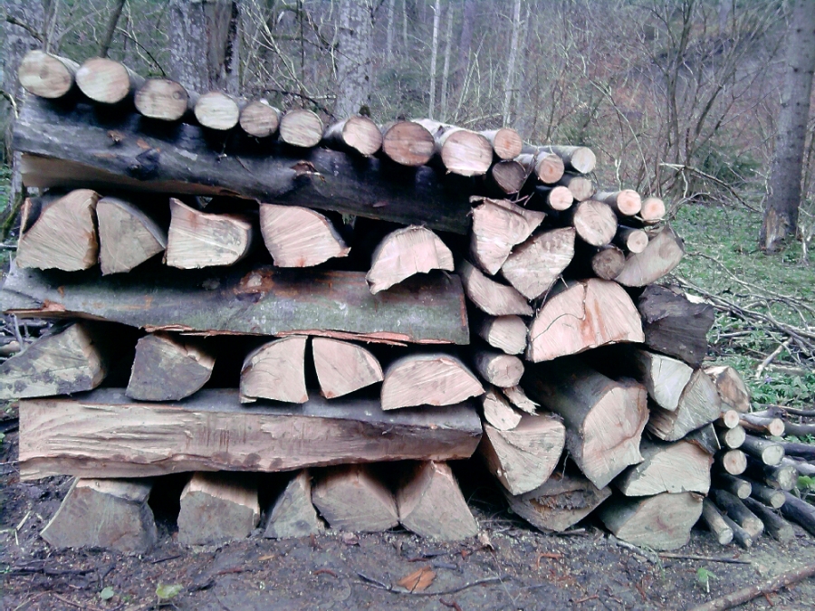 Aleşii locali au aprobat acordarea AJUTORULUI de urgenţă privind lemnele de foc pentru săraci
