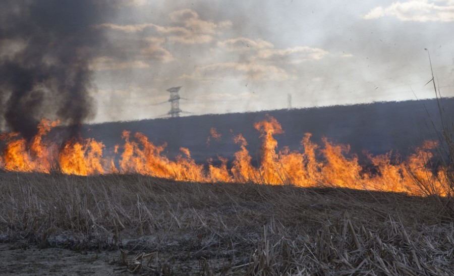 UPDATE/ INCENDIU PUTERNIC pe Balta Mălina. 30 de hectare de stuf, cuprinse de flăcări (FOTO)