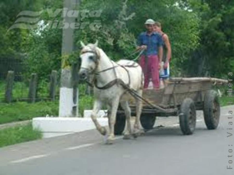 Căruţă supra Cielo, egal lipsă de prioritate