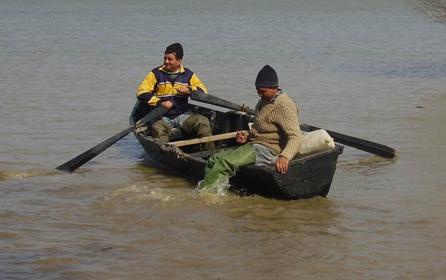 Campanie VL - Pescari pe apa sâmbetei: De zece ori mai puţin peşte de acvacultură