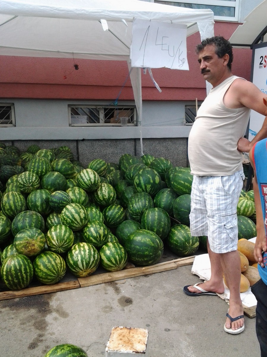 Un puşti a DISTRUS patru tone de pepeni. VEZI din ce motiv şi cum a reuşit (FOTO)