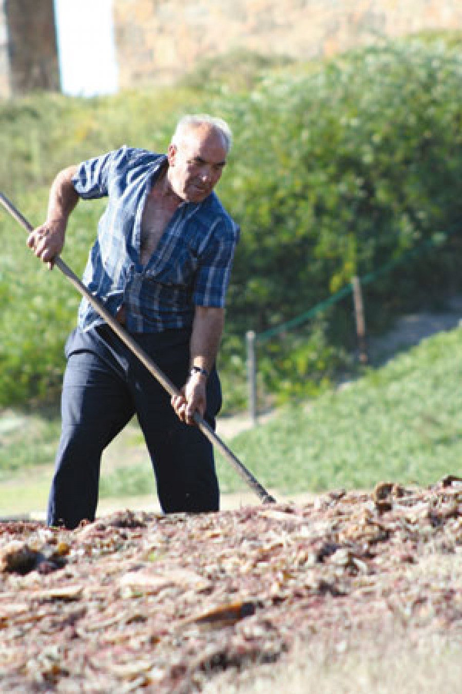 Se amână alegerile pentru Camerele Agricole?