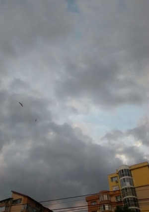 PROGNOZA METEO/ Șanse mari de precipitații, marți, la GALAŢI