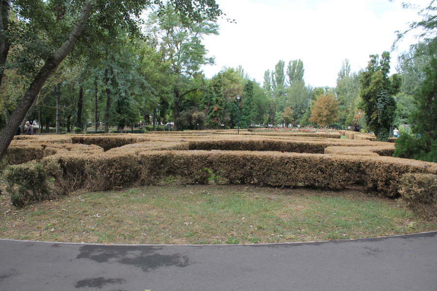 Sindicaliştii de la Gospodărire Urbană, cu jalba la Prefectură