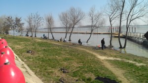 Deşi încă nu a dat căldura de-a binelea, malul Dunării s-a umplut de pescari