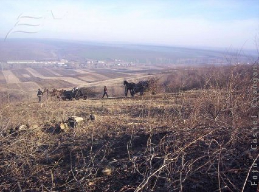 Jorăşti, sub teroarea hoţilor