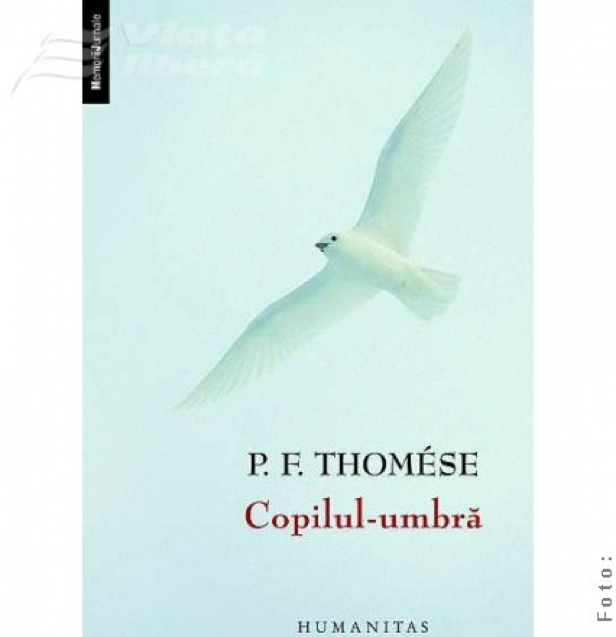 “Copilul-umbră”, de P.F.Thomése