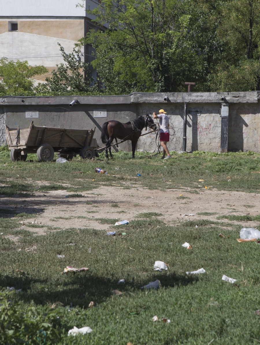 Cu CALUL la păscut, printre garajele din Micro 20