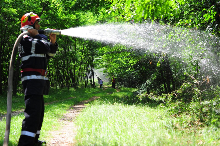 Incendii de vegetație în judeţ