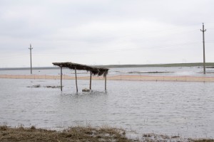 Peste o sută de hectare de teren dintr-o comună gălățeană sunt  inundate/ Autoritățile ridică din umeri  (GALERIE FOTO)