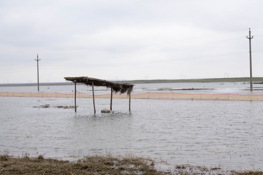 Peste o sută de hectare de teren dintr-o comună gălățeană sunt  inundate/ Autoritățile ridică din umeri  (GALERIE FOTO)