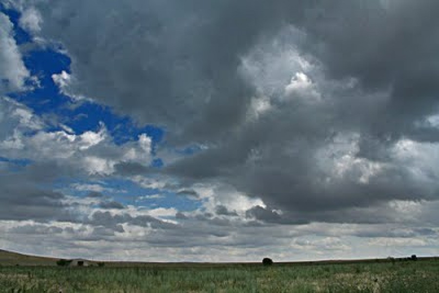 Ploaia scade cheltuielile de irigaţii: Doar 80 de hectare udate  