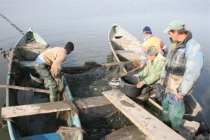 Campanie VL - Pescari pe apa Sâmbetei: Profesioniştii fac bani din peşte (GALERIE FOTO)