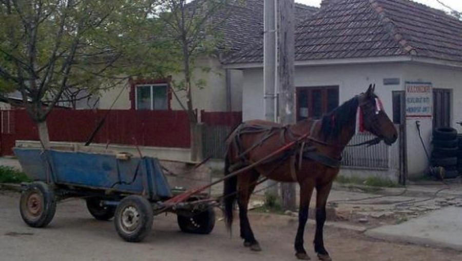 Un bărbat din Cavadineşti a murit subit în mijlocul drumului