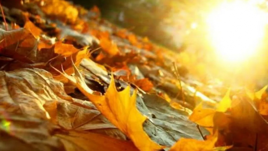 Meteo. Vreme frumoasă și caldă în weekend