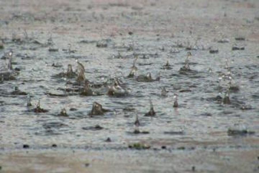 AVERTIZARE METEO/ VREME REA în toată România, marţi şi mercuri