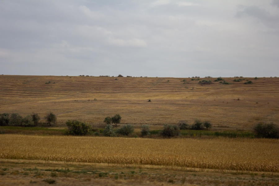 Vecinii brăileni, în topul vânzărilor de terenuri agricole