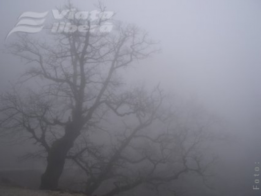 Ceaţă cât cuprinde şi toamnă pân’ la vară