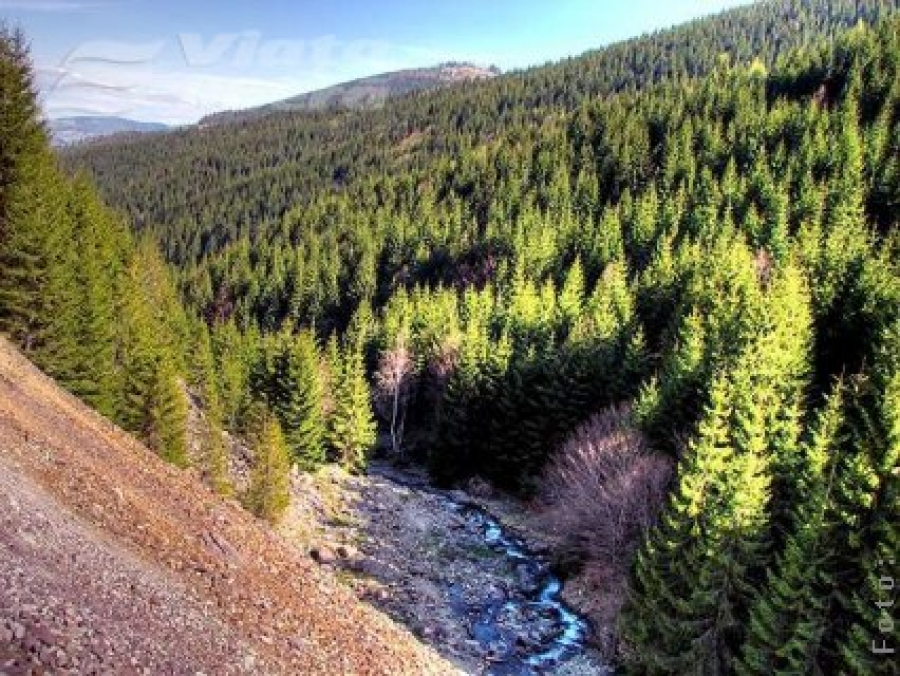 Destinaţii de vacanţă - Valea Arieşului