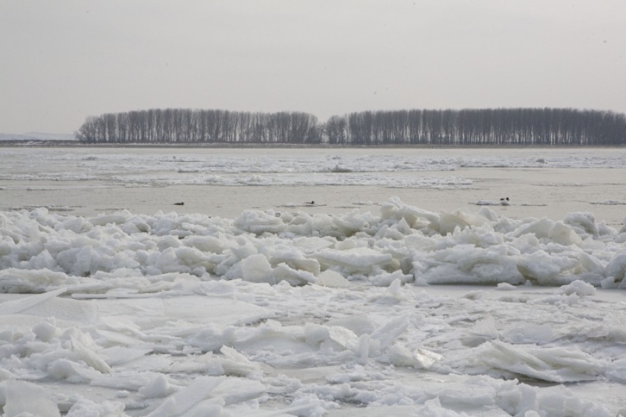 GALERIE FOTO Dunărea, prinţesa iernii 