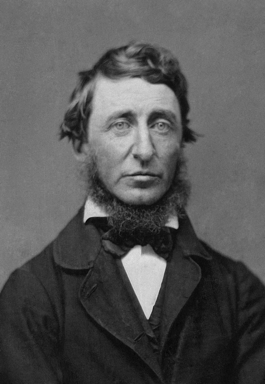 Remember. Henry David Thoreau (1817-1862)