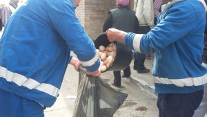 Razii în pieţele gălăţene. Sute de kilograme de alimente confiscate şi distruse de poliţişti şi DSVSA (FOTO)