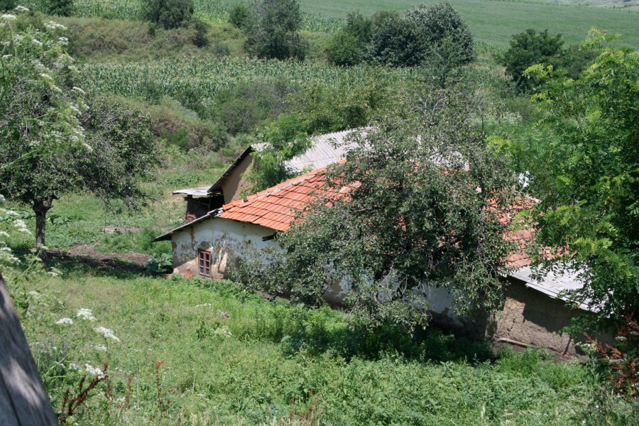 GALERIE FOTO / Campanie VL "Sate care mor": La Şipote, viitorul nu înseamnă nimic 