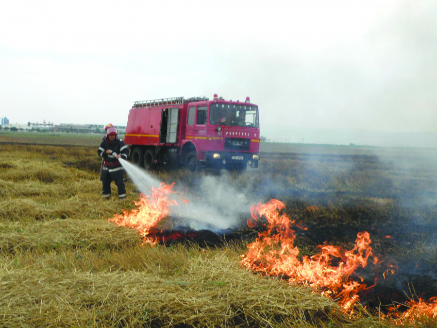 Trei hectare de vegetație uscată din oraș au ars ca o torță