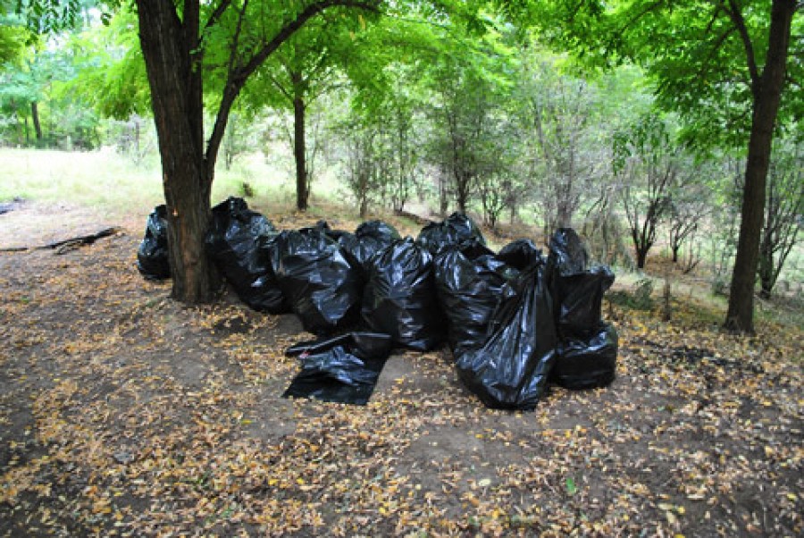 Ecologizare în Pădurea Gârboavele