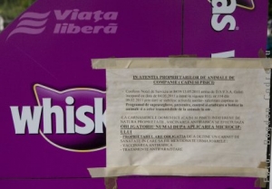Viaţa câinilor şi a pisicilor, condiţionată de un microcip
