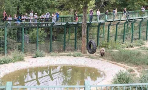 Tarifele de acces la Zoo şi muzee vor rămâne neschimbate în 2016