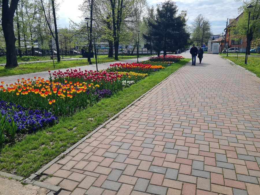 O explozie de culori vă așteaptă în Grădina Publică (FOTO)