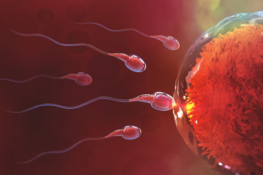 Un cocktail de chimicale afectează calitatea spermei