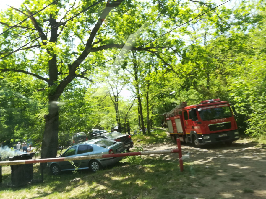 O petrecere se poate transforma într-o tragedie. SFATURI pentru atunci când ieşiţi la iarbă verde